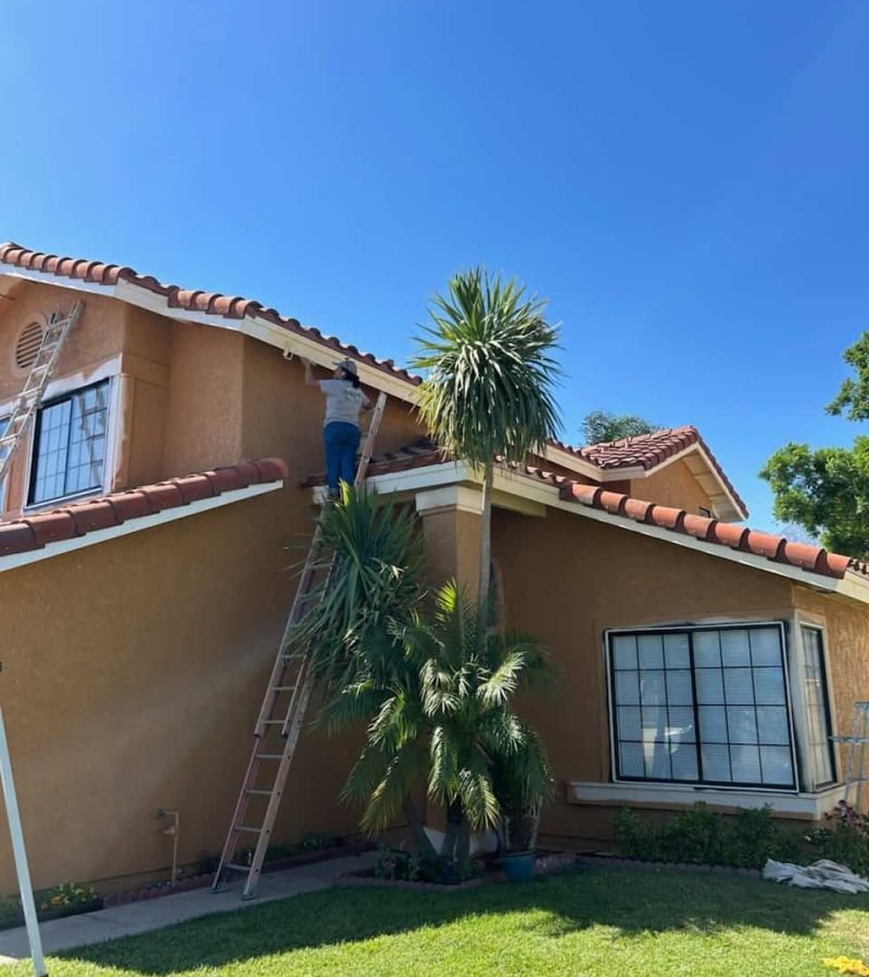 Painter working on house exterior with ladder and palm trees in background.